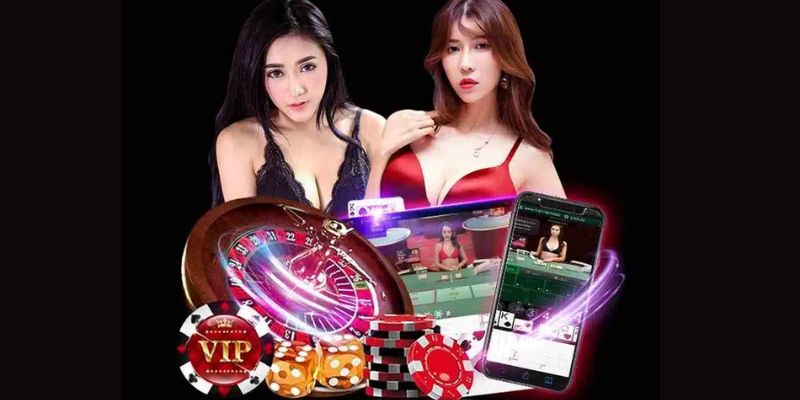 Cách cược tại AE Sexy Casino