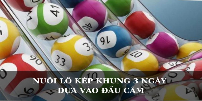 Dựa vào đầu câm để vào bờ