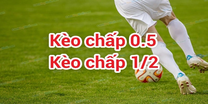 Tham khảo thêm cách đọc kèo chuẩn 99%