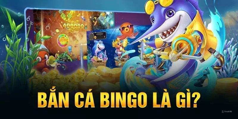 Khái niệm về trò chơi bắn cá Bingo đổi thưởng